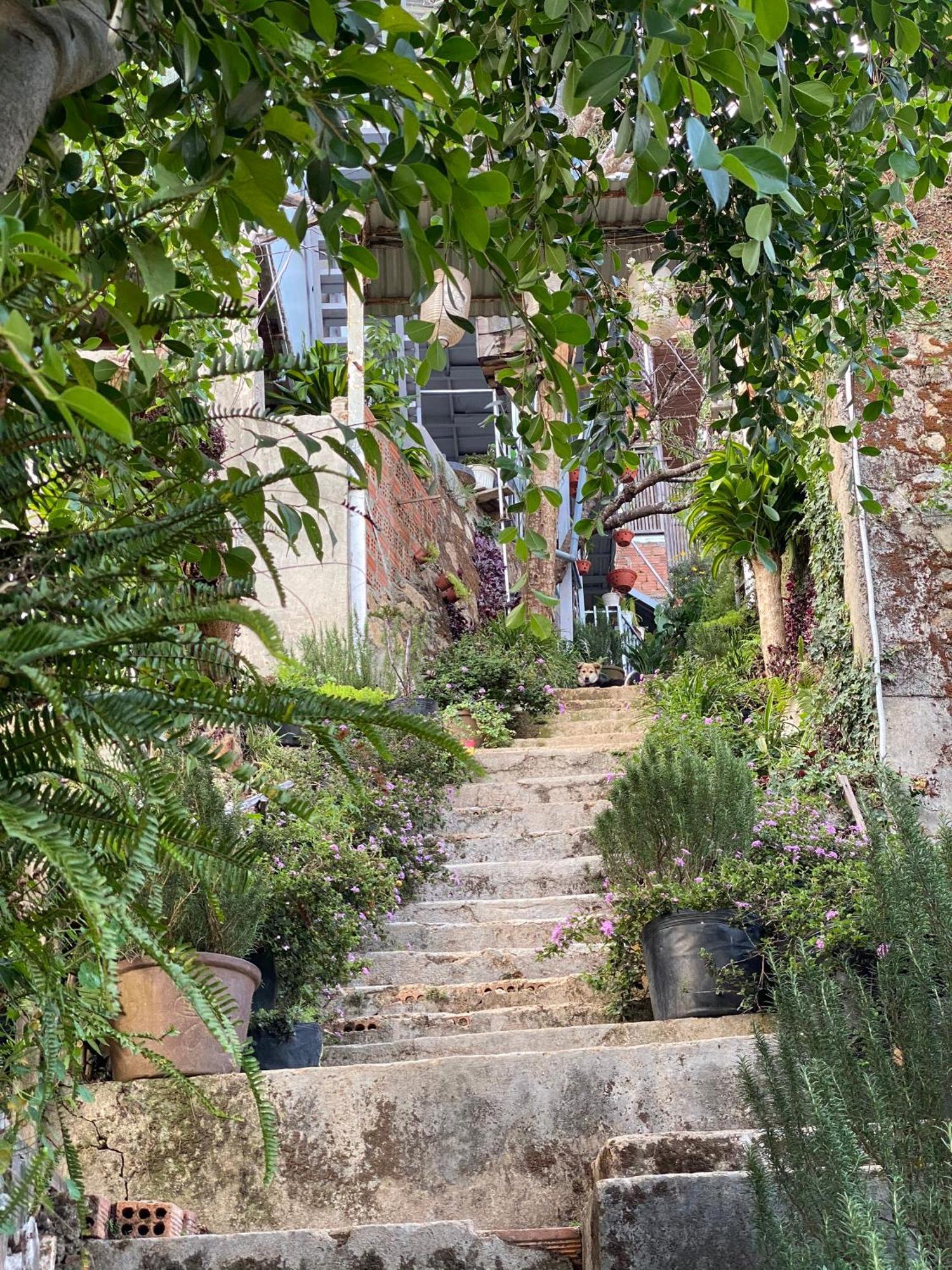 Dalat Memories Homestay - Pho Suong Mo ダラット エクステリア 写真