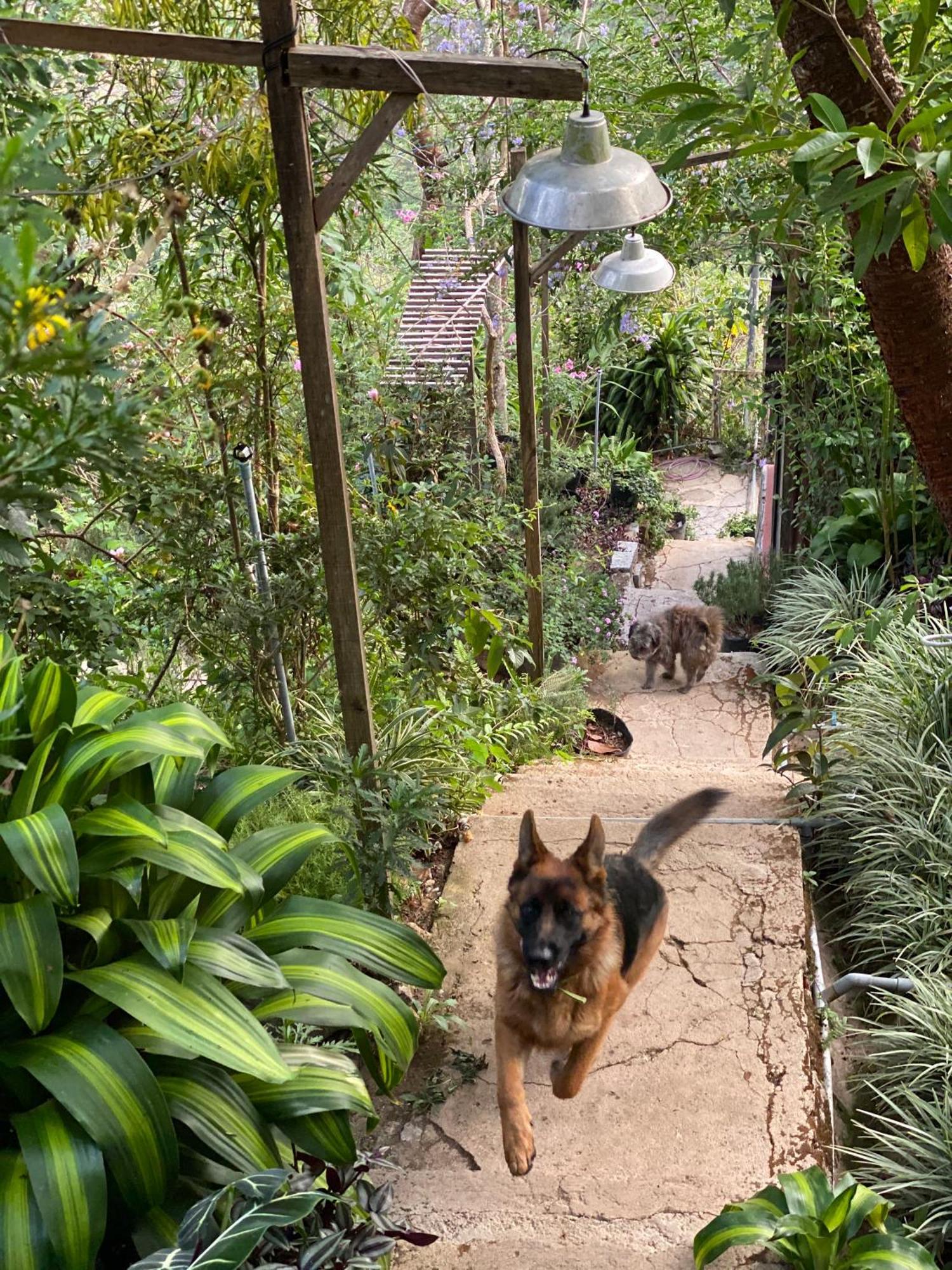 Dalat Memories Homestay - Pho Suong Mo ダラット エクステリア 写真